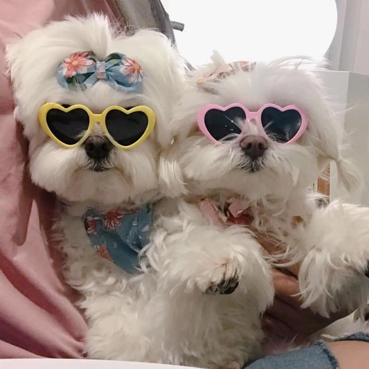 Stylish UV Protection Sunglasses for Dogs & Cats – Cute & Fashionable Pet Eyewear with Jewelry Decoration